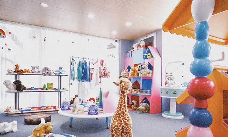 indoor playground indoor playground